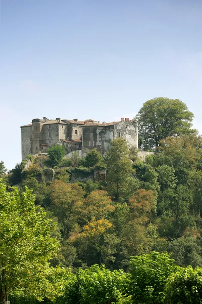 Замок оточений зеленню — стокове фото