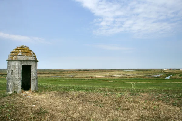 Antigua ruina de piedra en un campo — Foto de Stock