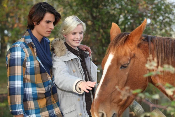 Giovane coppia prendersi cura di un cavallo — Foto Stock