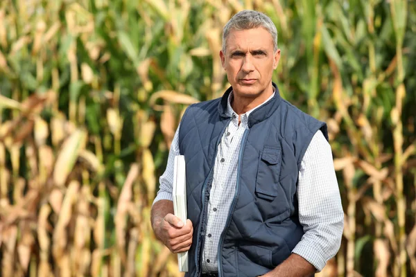 Agricoltore esperto in piedi nel suo campo — Foto Stock