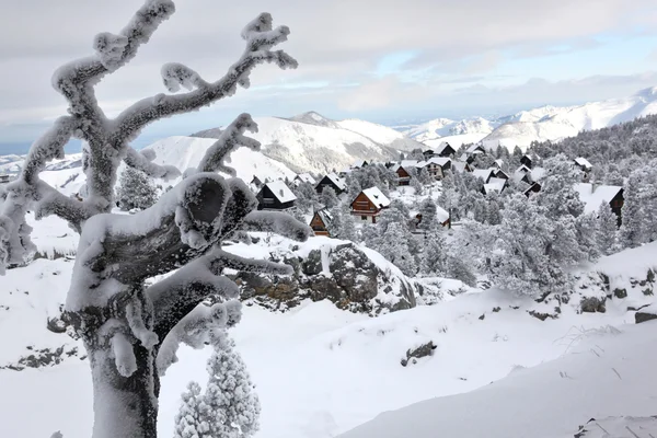 雪に覆われた風景 — ストック写真