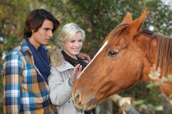 Пара с лошадью — стоковое фото