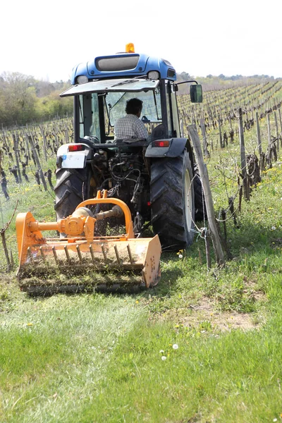 Трактор в винограднике — стоковое фото