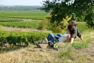 Couple having picnic in the vineyard clipart