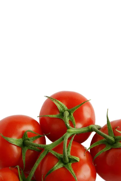 Tomatoes on the vine — Stock Photo, Image