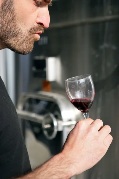Şarap üreticisi — Stok fotoğraf