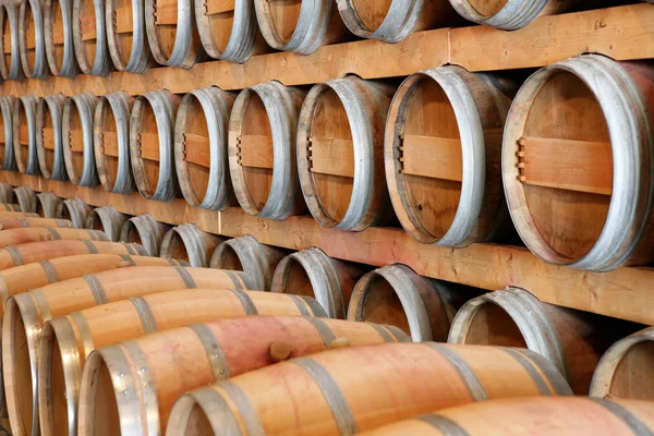 Wine barrels in winery — Stock Photo, Image
