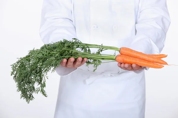Chef segurando cenouras — Fotografia de Stock