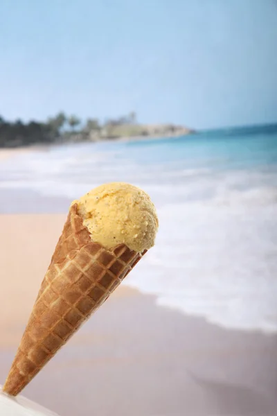 Zmrzlina s zadní beach — Stock fotografie