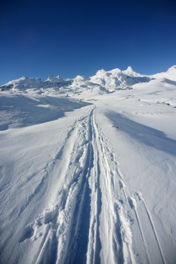 Ski traces in the snow clipart