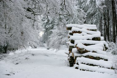 Snow on a pile of logs clipart