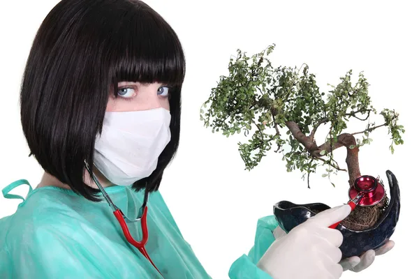 Medico femminile con albero di banzai — Foto Stock
