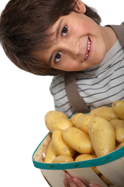 Boy with new potatoes — Stock Photo, Image