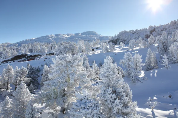 Malerische Winterlandschaft — Stockfoto