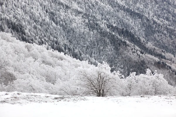 覆われた丘の中腹を雪します。 — ストック写真