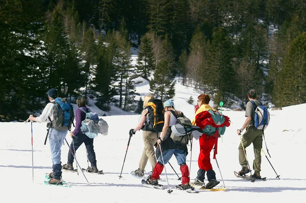 Groep skiërs — Stockfoto