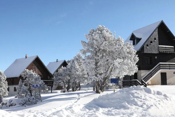 Een winter wonderland — Stockfoto
