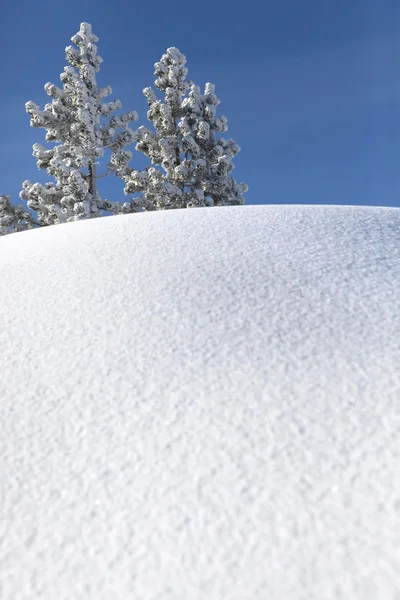 Perfect snow on hill — Stock Photo, Image