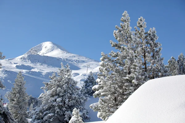 雪に覆われた山のシーン — ストック写真