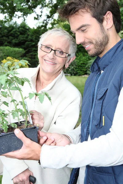Jonge man tuinieren met oudere vrouw — Stockfoto