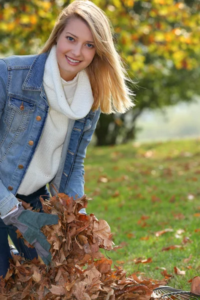 Ragazza sorridente raccolta foglie — Foto Stock