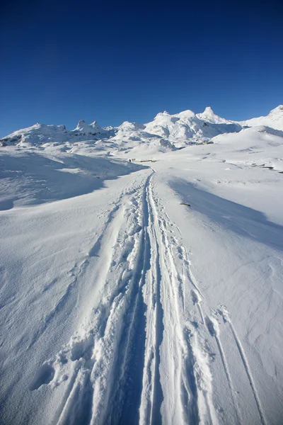 Narciarskie ślady w śniegu — Zdjęcie stockowe