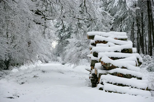 Neve em uma pilha de troncos — Fotografia de Stock