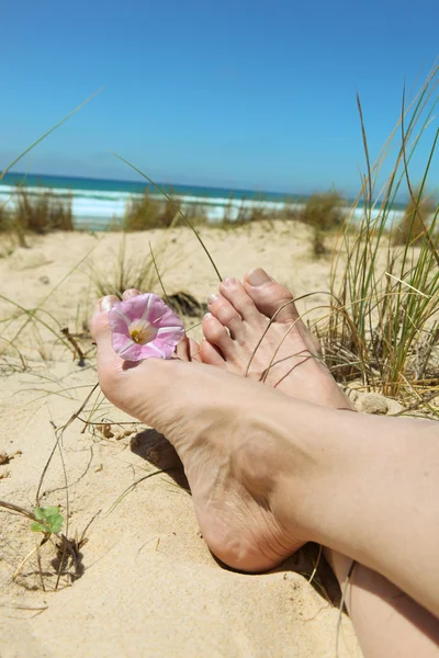 Woman laid on beach flower between toes — Stock Photo, Image