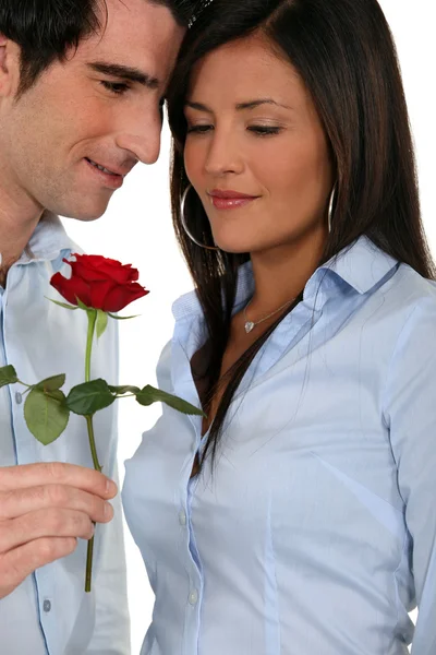 Hombre ofreciendo una rosa a su novia — Foto de Stock