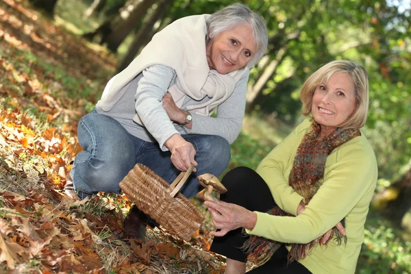 Två kvinnor samla svamp — Stockfoto