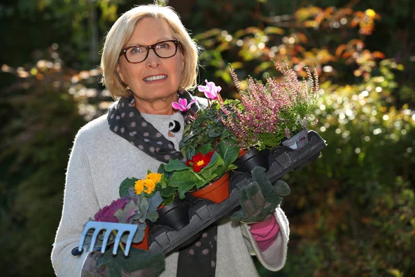 Senior met planten — Stockfoto