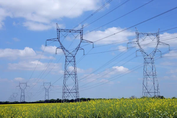 Pilones de electricidad en un campo — Foto de Stock