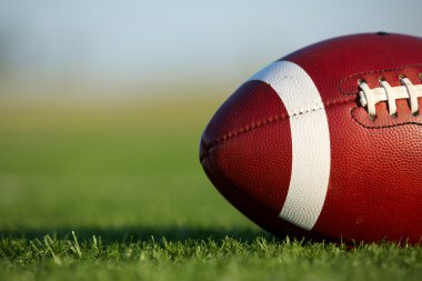 Football on the Field Close Up clipart