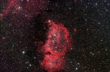 Emperor Nebula ic1848 clipart