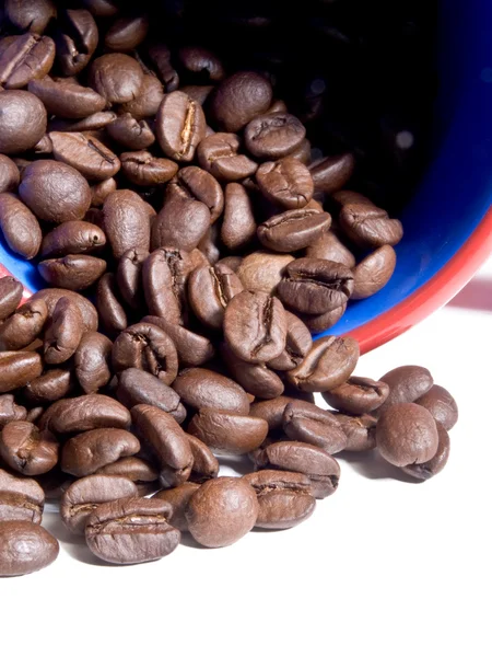 Cofee Beans — Stock Photo, Image