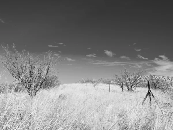 Арізона краєвид — стокове фото