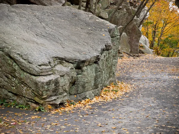 stock image Fall Foliage