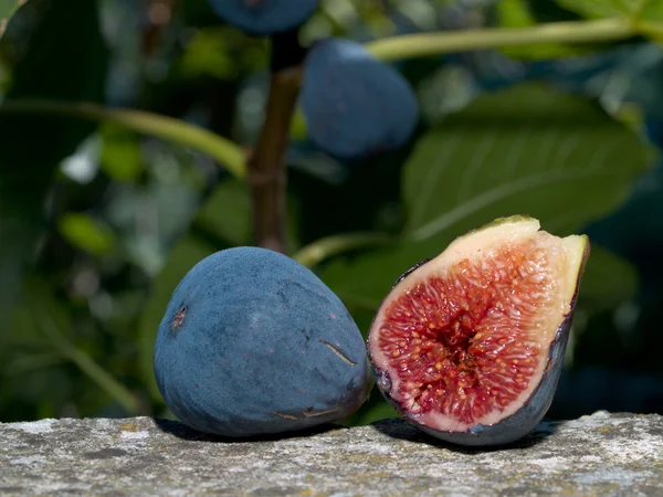 Sliced figs — Stock Photo, Image