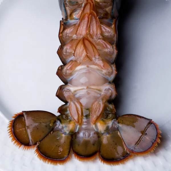 龙虾尾 — 图库照片