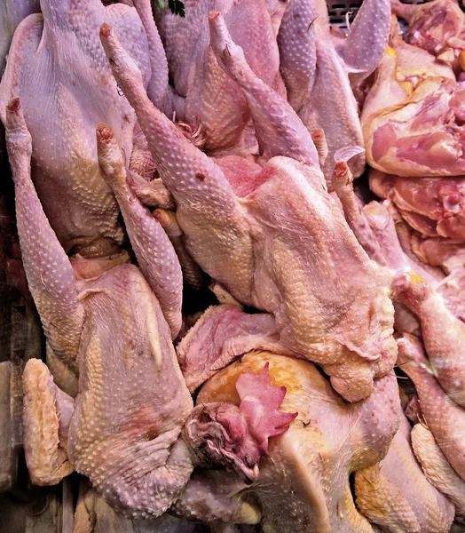 Pollo malato — Foto Stock