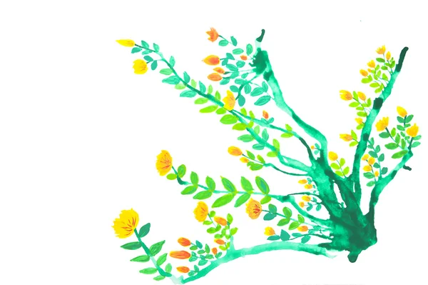Цветы акварелью вручную окрашены, изолированы — стоковое фото