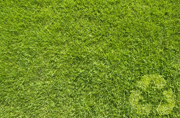 Recycle on Green grass, texture background — Stock Photo, Image
