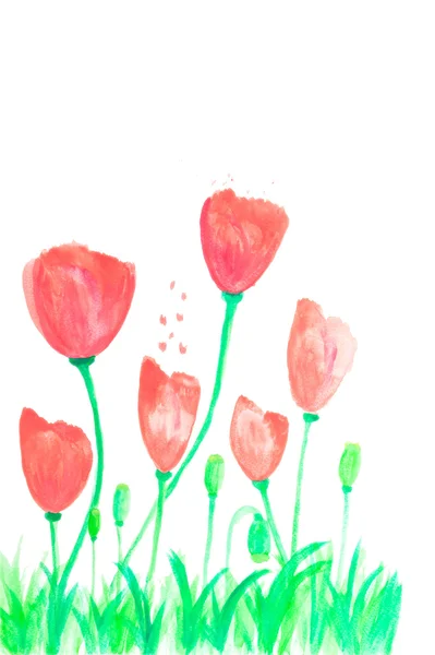 Barevné květy v akvarel ručně malované, izolovaných — Stock fotografie