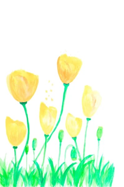 Kolor kwiaty w akwarela ręcznie malowane, na białym tle — Zdjęcie stockowe