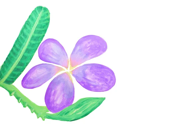 Färg blommor i akvarell hand målade, isolerade — Stockfoto