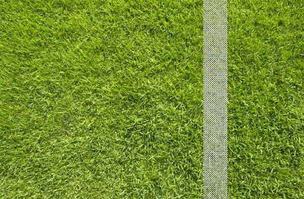 Textur und Hintergrund des grünen Grases — Stockfoto