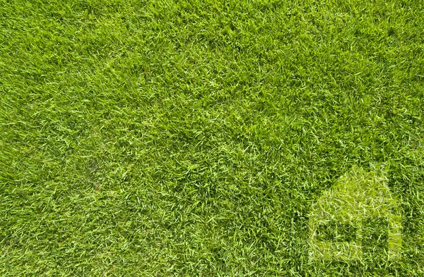 Icône maison sur herbe verte, fond de texture — Photo