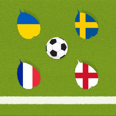 futbol futbol çim zemin üzerine bayrağı
