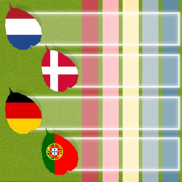 Fußball-Fußball der Flagge auf Gras Hintergrund — Stockfoto