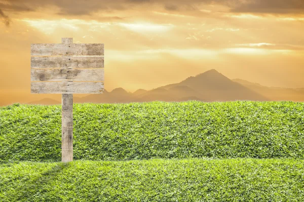 Деревянный рекламный щит на фоне травы — стоковое фото